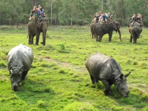chitwan national park nepal